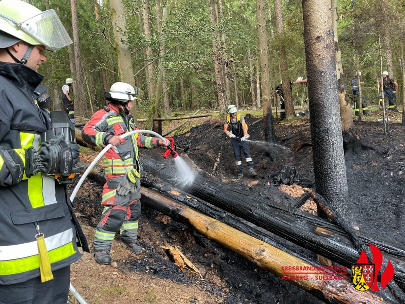 B WALD | Wald groß (> 1.000 m2)