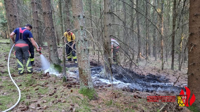 B WALD | Wald groß (> 1.000 m2)