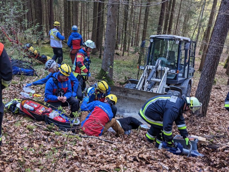 Gemeinsame Übung im Wald