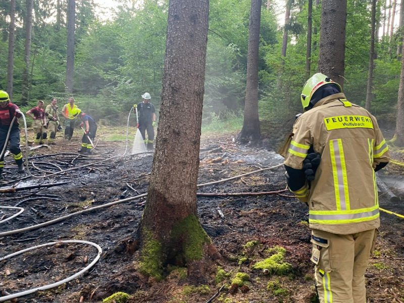 Luftbeobachter entdeckt Waldbrand